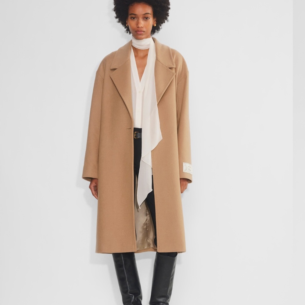 aritzia the meyer coat new with tags 1